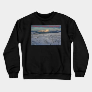 Ice Age Christmas Card Crewneck Sweatshirt